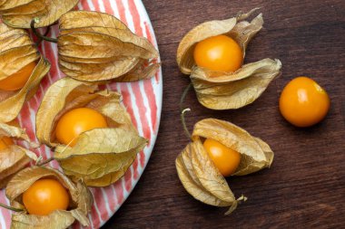 Çiçek ve meyve Fisalis (Physalis peruviana) ile plaka. Yukarıdan izlendi.