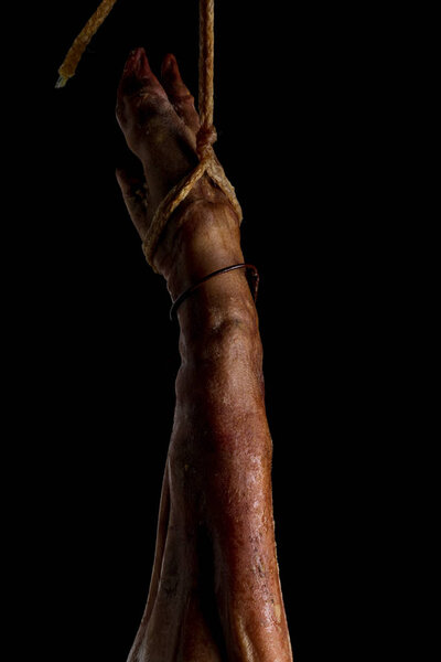 The art of Spanish Iberian ham. Whole leg with artistic look on a black background.