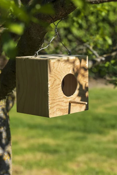 Hut en Feeder voor wilde vogels. Met voedsel voor vogels. — Stockfoto