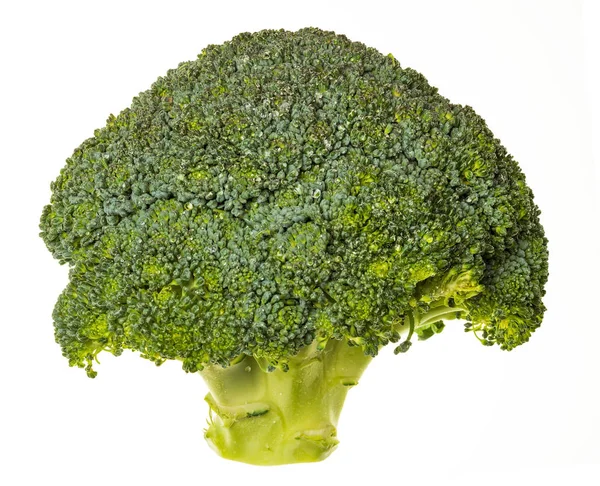 Brokkoli (brocolli, brocoli, brocoli, brokoli, sprossen, brassica — Stockfoto