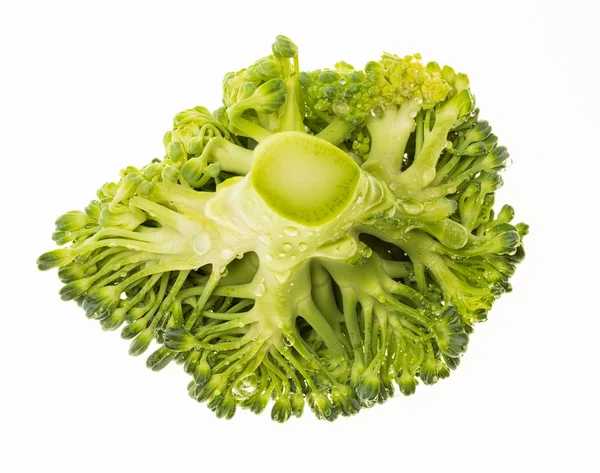 Brokkoli (Brokkoli, Brokkoli, Brokkoli, Brokkoli-Sprossen, Brassica oleracea) Portion und sehr frisch (mit Wassertropfen). isoliert auf weißem Hintergrund. — Stockfoto