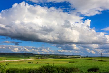 Bahar manzarası, buğday yeşil alanları ve mavi gökyüzü üzerinde bulutlar. Güneşli bir gün.