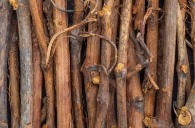 Asma sürgün dokusu (sebze ve doğal liflerin koleksiyonu).