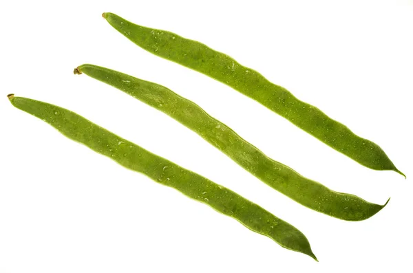 Green beans, tender and very fresh (with water drops). Isolated on white background. — Stock Photo, Image