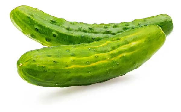 Cucumbers, whole, raw and fresh with drops of water. Isolated on white background — Stock Photo, Image