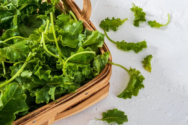 Des bourgeons de chou frisé (chou). Salade à l'aspect rustique et sain . — Photo