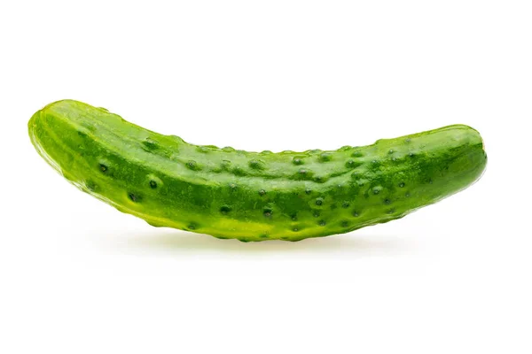 Cucumber, whole, raw and fresh with drops of water. Isolated on white background — Stock Photo, Image