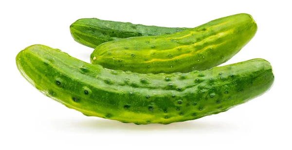 Cucumbers, whole, raw and fresh with drops of water. Isolated on white background — Stock Photo, Image