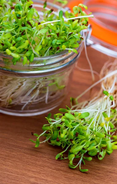 Germes de luzerne frais et crus germés. Une alimentation saine et saine — Photo