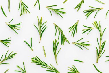 Yeşil, taze kesilmiş biberiye yaprakları (Rosmarinus officinalis). Beyaz arka planda izole edilmiş Akdeniz mutfağı ve iyileştirme ev yapımı.