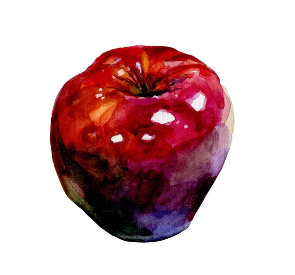 红苹果水彩手画 孤立的生态天然食品苹果插图在白色的背景 可用于明信片 包装设计 — 图库照片