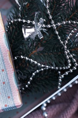 Noel kutusu ve oyuncaklar ile Noel ağacı bir dal.