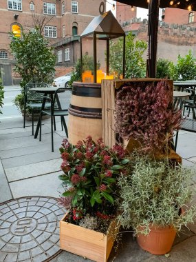 Yeşil bitkiler sokakta. Kentin yeşil bitkiler.