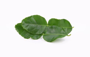 Beyaz arka plan üzerinde izole yaprak Güney Afrika'da bir kabile kireç