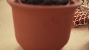 Sebze ve meyve dolu kafes dize çanta geri dönüşüm, Eko arayanlara hiçbir plastik kavramı 4k