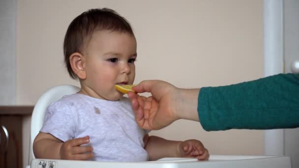 Vater füttert Baby mit Zitrone. frische Zitrusfrüchte. Babynahrung — Stockvideo