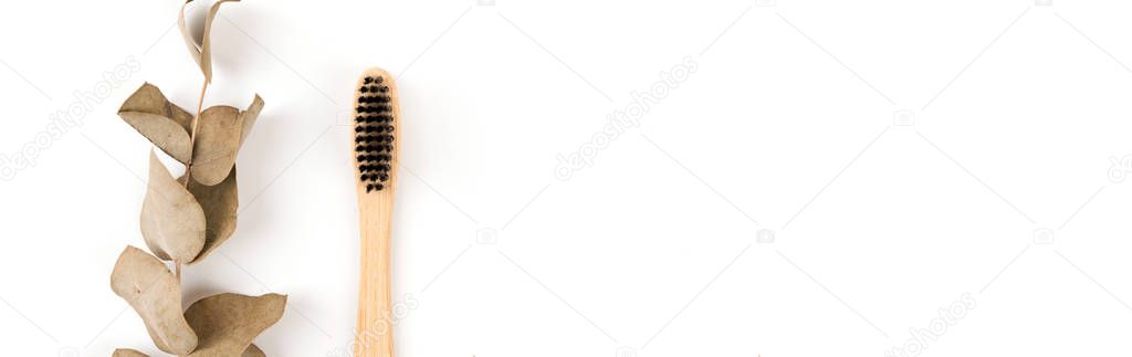 Set of toothbrushes in glass isolated on white background. Bamboo eco-friendly. Zero waste