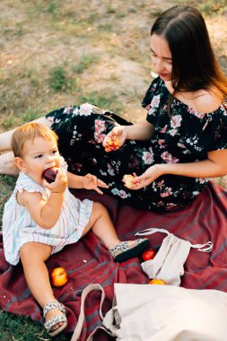 Şeftaliile sıfır atık yaz piknik. Çevre dostu ebeveynlik. Doğal counscious yaşam tarzı. Yaz günü
