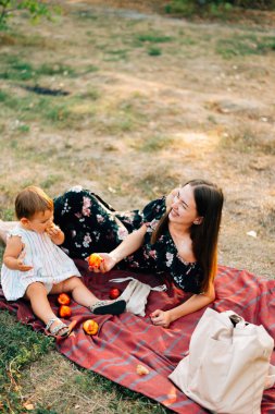 Şeftaliile sıfır atık yaz piknik. Çevre dostu ebeveynlik. Doğal counscious yaşam tarzı. Yaz günü