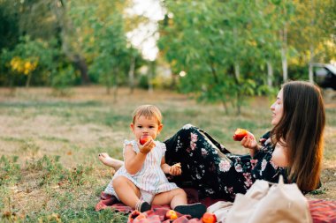 Şeftaliile sıfır atık yaz piknik. Çevre dostu ebeveynlik. Doğal counscious yaşam tarzı. Yaz günü
