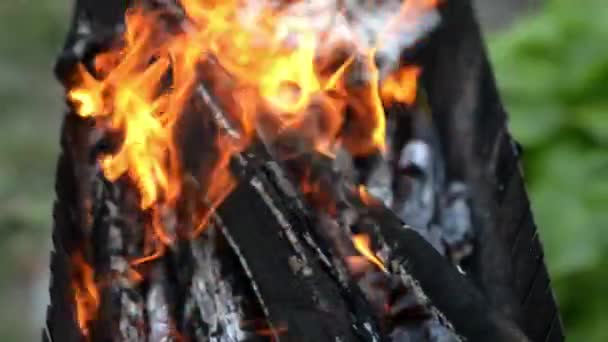 Närbild av BBQ öppen spis utomhus. Camping resor på sommaren eller hösten. Eldflammor på ask trä — Stockvideo