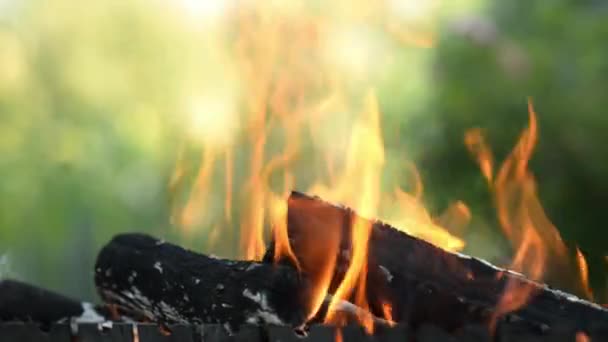 屋外のバーベキュー暖炉のクローズアップ。夏または秋のキャンプ旅行。灰の木に火炎 — ストック動画