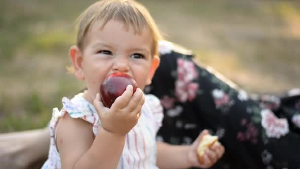 Grappig klein meisje eet perzik met moeder op de zomer picknick. Gezonde snack — Stockvideo