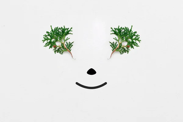 Cara de reno hecha de ramas de pino. Mínimo concepto de Navidad. Acostado. Sonrisa 2020 — Foto de Stock