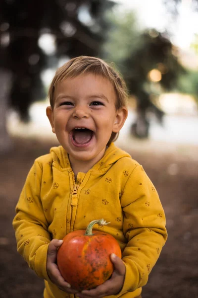 Pequeña niña hermosa niño sosteniendo la calabaza al aire libre en el día de otoño soleado. Concepto Halloween —  Fotos de Stock