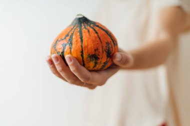 Bir kadın elinde balkabağı tutuyor. Cadılar Bayramı veya hasat konsepti. Boşluğu kopyala