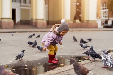 Su birikintilerinde oynayan küçük bir çocuk, şehir meydanında kuşlarla oynuyor. Güvercinler. sonbahar çocukluğu