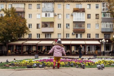 Şehir meydanında yağmur çizmeli küçük bir kız kuşlarla oynuyor. Açık havada çocukluk aktivitesi