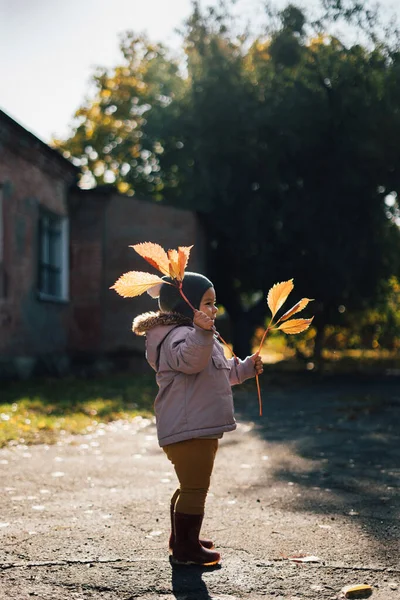 Niña en el parque de otoño con hojas amarillas — Foto de Stock