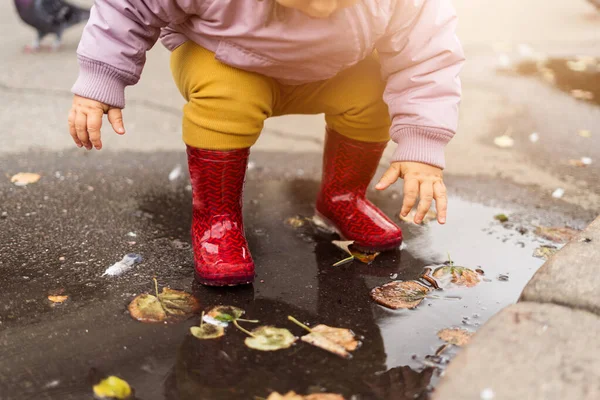 Niño pequeño jugando en charcos, plaza de la ciudad con pájaros. palomas. otoño infancia —  Fotos de Stock