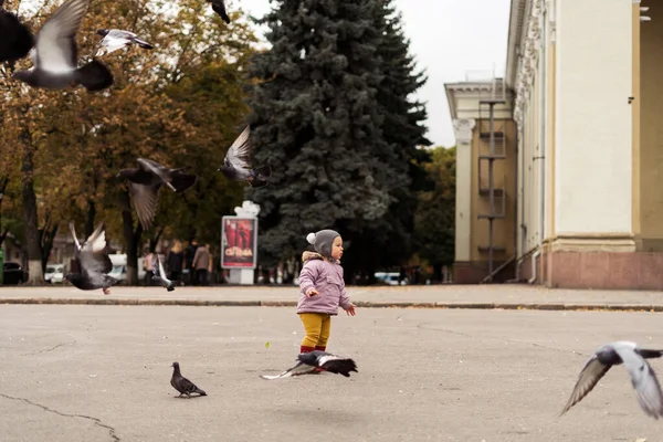Toddler girl in rain boots playing with birds on city square. Outdoors childhood activity — 스톡 사진