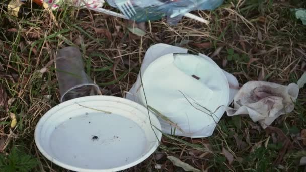 野餐区的污染和生态问题。 塑料污染 — 图库视频影像