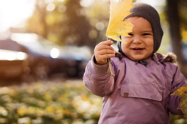 秋の公園で葉の黄色のカエデの束と笑みを浮かべて子 — ストック写真
