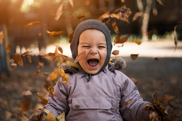 Маленький мальчик в осеннем парке с опавшими листьями. Эмоции счастья и радости — стоковое фото