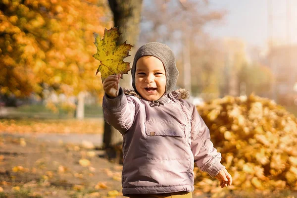 Niño sonriente con racimo de hojas de arce amarillo en el parque de otoño —  Fotos de Stock