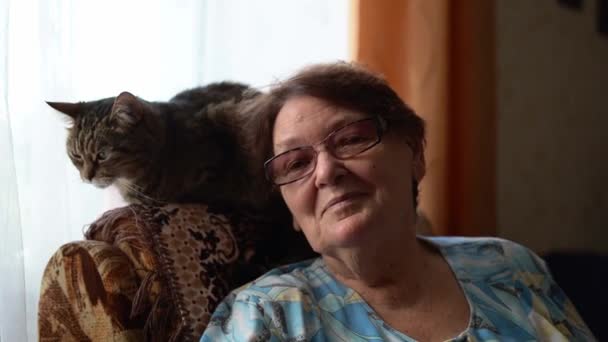 De oude vrouw zit in een fauteuil en met een kat. Liefde met vriend huisdier thuis — Stockvideo