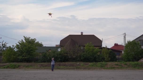 裏庭で凧を持って走っている男。自由の概念。スローモーション。夏の野外活動 — ストック動画