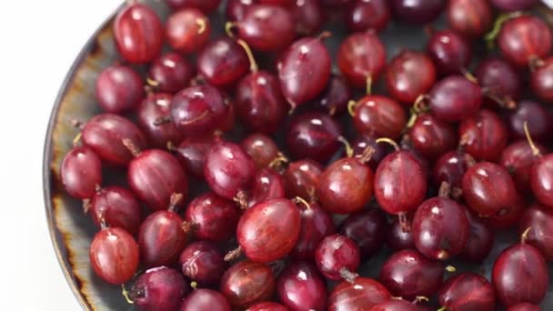 Cerca de tiro giratorio de la cosecha de grosella roja. Estilo de vida saludable y comer. Comida vegana — Vídeos de Stock