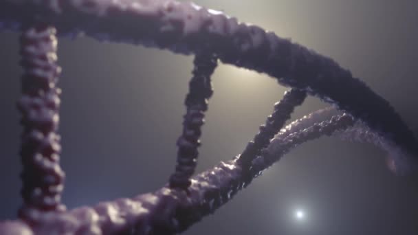 DNA-Kette aus nächster Nähe. Genomspirale, Biotechnologie. 3D-Darstellung — Stockvideo