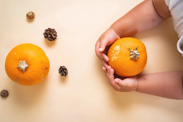 Von oben betrachtet lagen Kürbis und Zapfen flach. Orangefarben. Ernte- oder Halloween-Konzept — Stockfoto