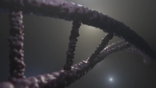 DNA-kedjan på nära håll. Genomspiral, bioteknik. 3D-återgivning — Stockvideo
