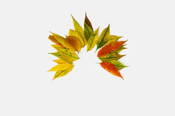 黄色、オレンジ、赤の葉は花輪フレームの形をしています。挨拶カード用のモックアップ。髪のコンセプト — ストック写真