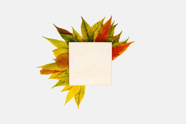 Sarı, turuncu ve kırmızı yapraklar çelenk şeklinde. Tebrik kartı ya da düğün için model — Stok fotoğraf