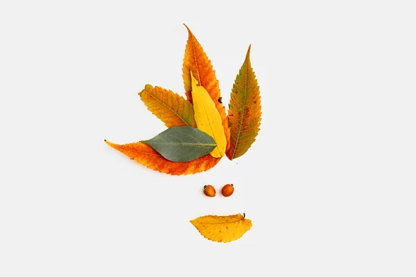 Feuilles jaunes, orange et rouges en forme de couronne. Maquette pour carte de vœux. Concept de cheveux — Photo