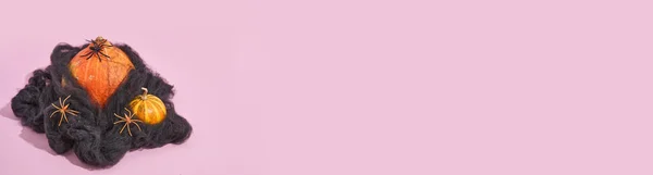 Abóbora em teia de aranha preta e aranhas em fundo pastel rosa com sombra de luz solar. Dia das bruxas feminino não tradicional — Fotografia de Stock