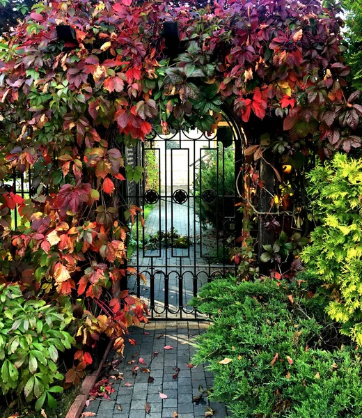 Poort Herfst Tuin Bladeren — Stockfoto